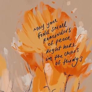 Meet your Posher, Laurie